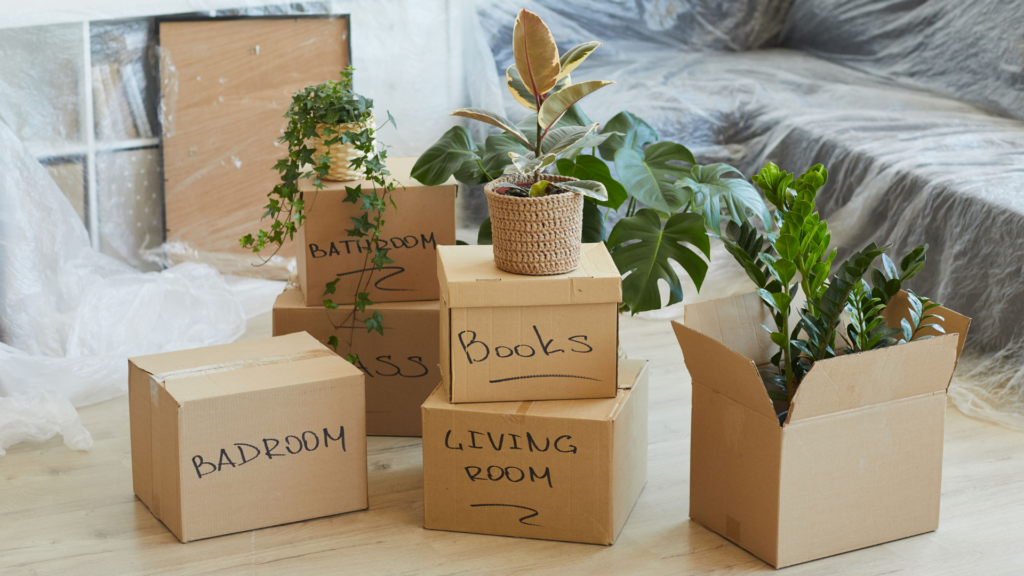 Organization tips by the Top rated cleaning company in Pinellas county