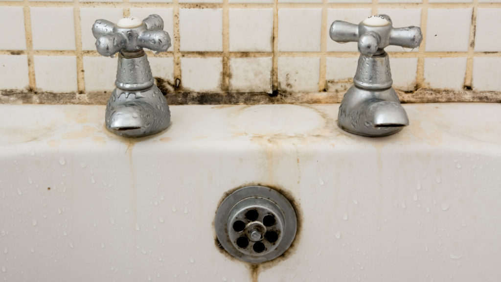 Shower cleaning tip - Best cleaning company in St. Pete