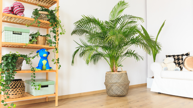 Spring is the perfect time to give your home a fresh start. This blog provides a comprehensive guide to spring cleaning, including tips and tricks to help you declutter, deep clean, and revitalize your living space for the new season.
