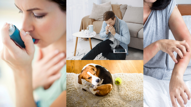 Dust Mites and Allergens Gone with Joy Disinfecting Service St Pete & Tampa