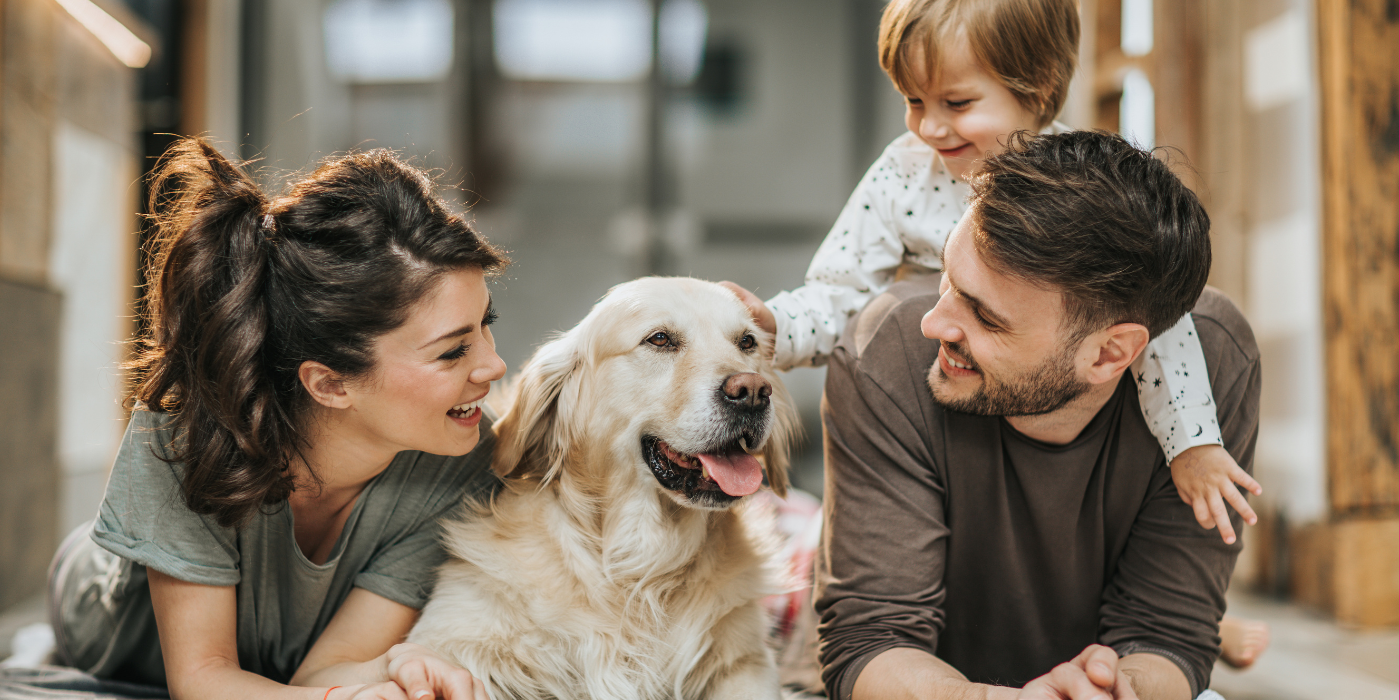 happy family cleaning service st pete healthy home