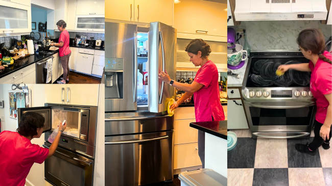 house cleaning st petersburg  joy of cleaning st pete and tampa best house cleaning service cleaning techs in action