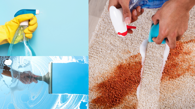 10 Easy Cleaning Tips for St. Petersburg Homes