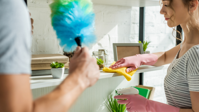 Daily and Monthly Cleaning Routines for Tampa Homes