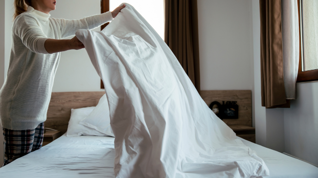 Establishing Daily and Weekly Cleaning Routines in St. Petersburg