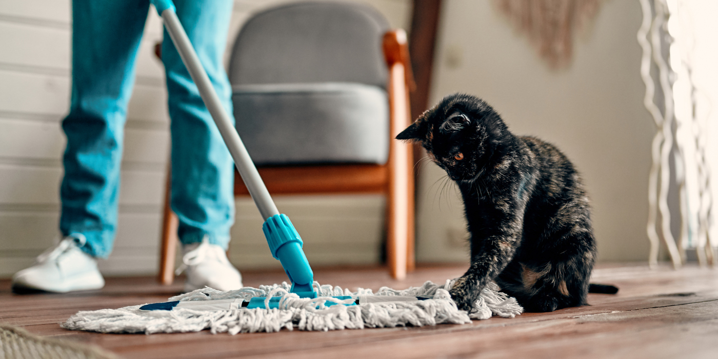 Pet-Friendly Cleaning Tips for St. Pete Homes