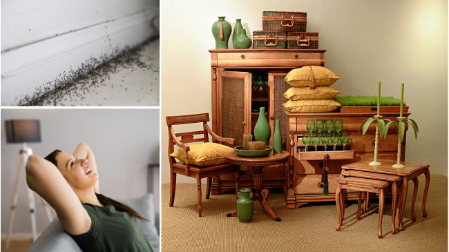 The Hidden Benefits of Regular Apartment Cleaning in Tampa