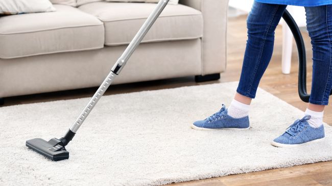 How to Keep Your Carpets Clean and Fresh in St. Petersburg