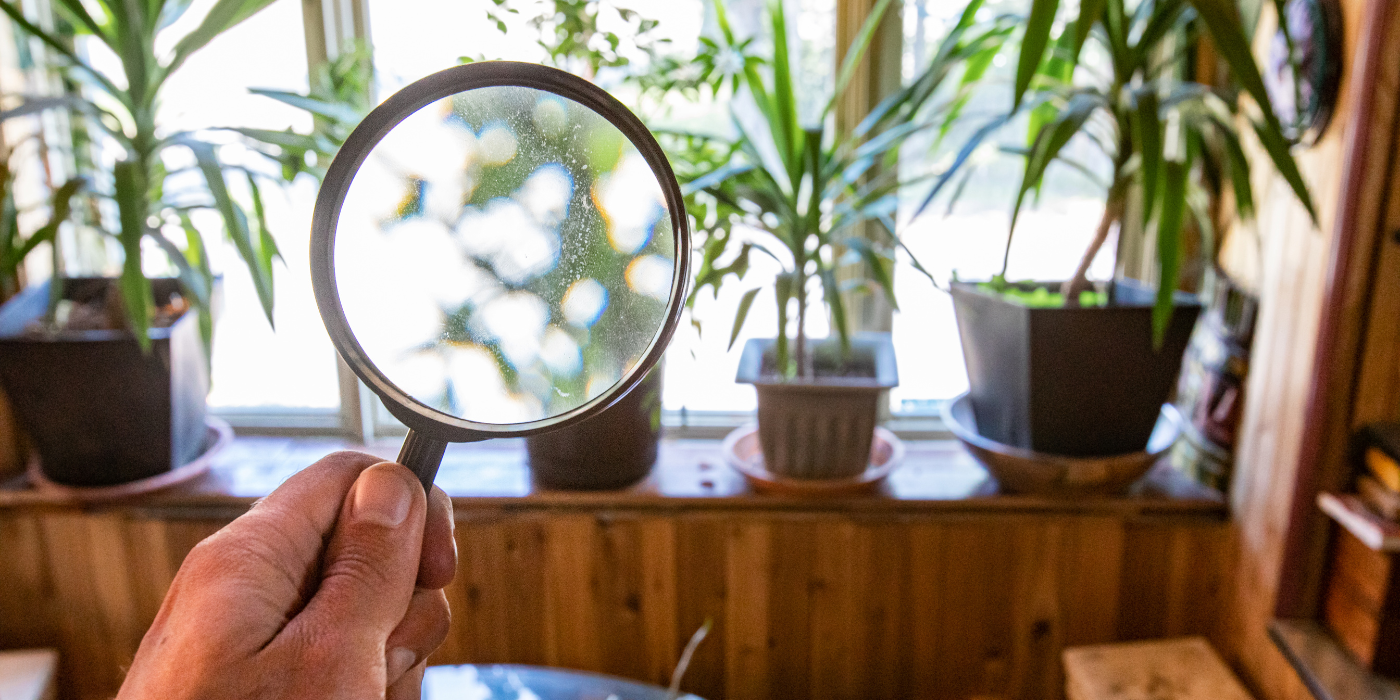 How Regular Cleaning Services Can Improve Your Tampa Home’s Air Quality