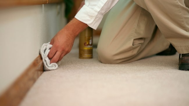 How to Deep Clean Baseboards and Trim for a Polished Look