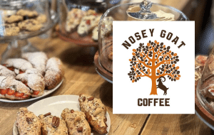 Nosey Goat Tampa Joy of Cleaning Partner