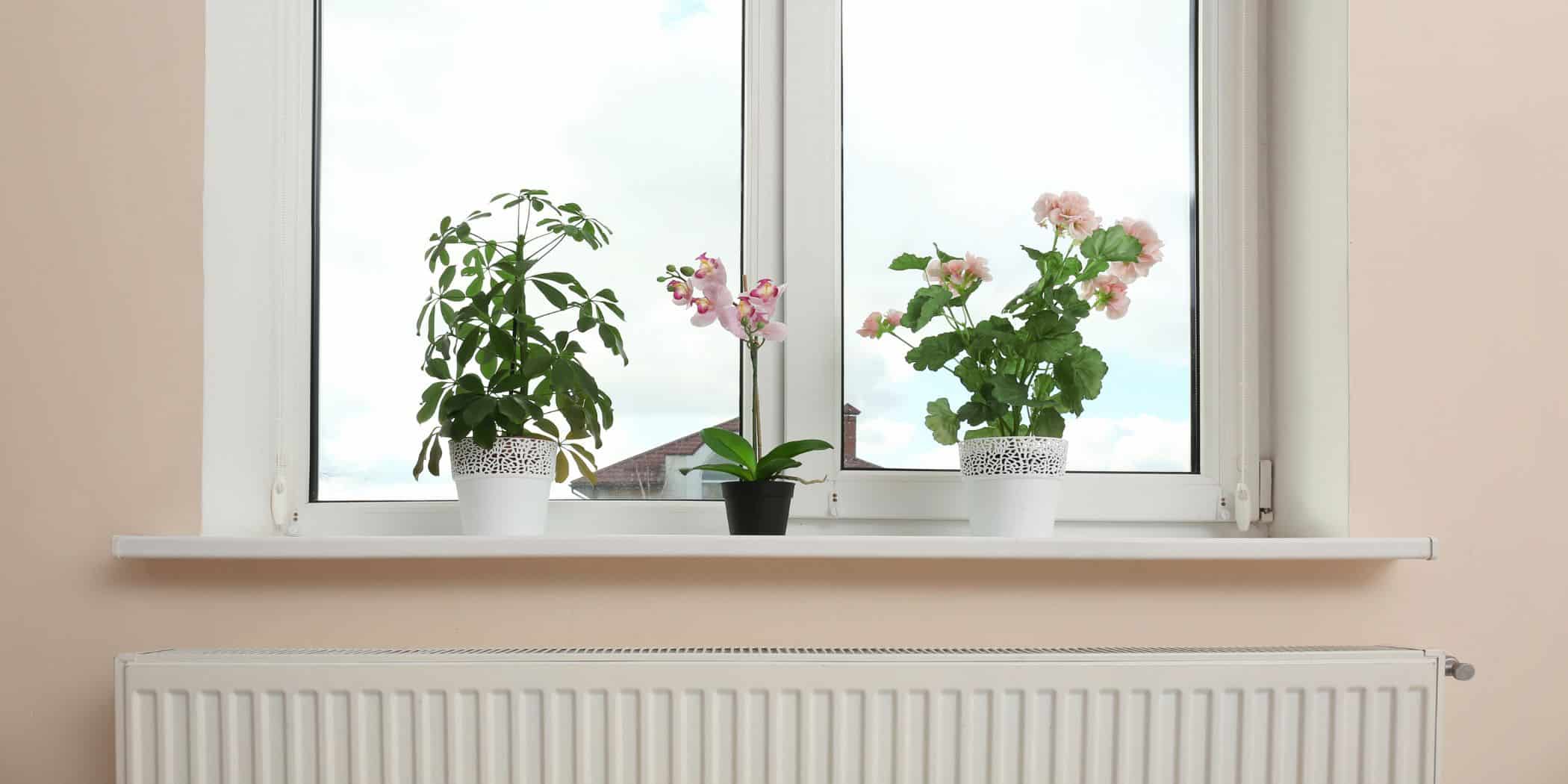 How to Tackle St. Pete’s Sneaky Window Sill Grime